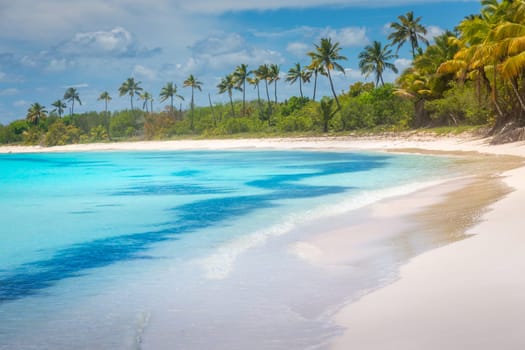 palm trees against blue sky and beautiful beach in Punta Cana at sunny day, Dominican Republic.