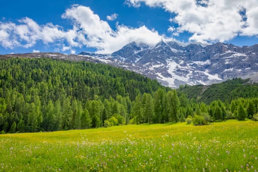 Idyllic landscape in Stelvio pass valley and Ortler massif, italian Dolomites at springtime, Italy