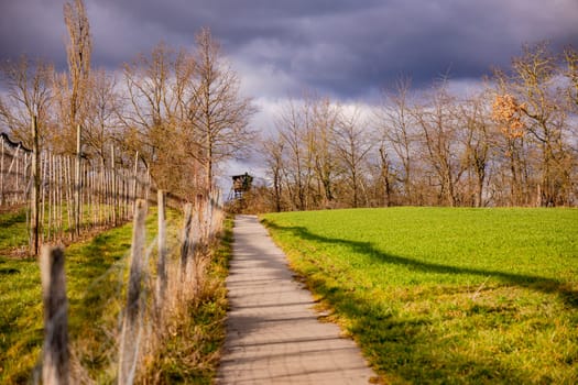 A footpath by a fence with meadow and trees in winter with sunset and dramatic clouds