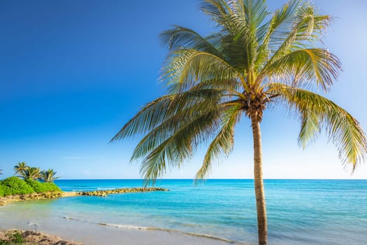 Tropical caribbean beach with turquoise waters in idyllic Montego Bay, Jamaica