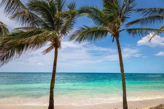 Tropical caribbean beach with turquoise waters in idyllic Montego Bay, Jamaica