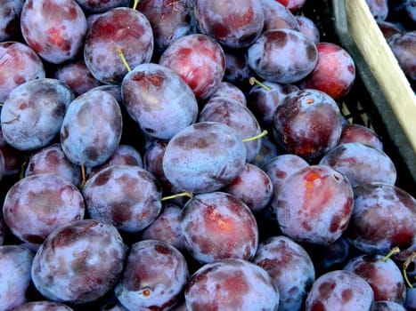 Ripe plums. Plum with a few leaves. Close up of fresh plums, top view. Macro photo food fruit plums. Texture background of fresh blue plums. Image fruit product. High quality photo