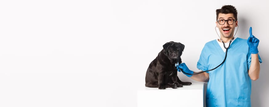 Handsome doctor veterinarian smiling, examining pet in vet clinic, checking pug dog with stethoscope, pointing finger up at promo banner, white background.