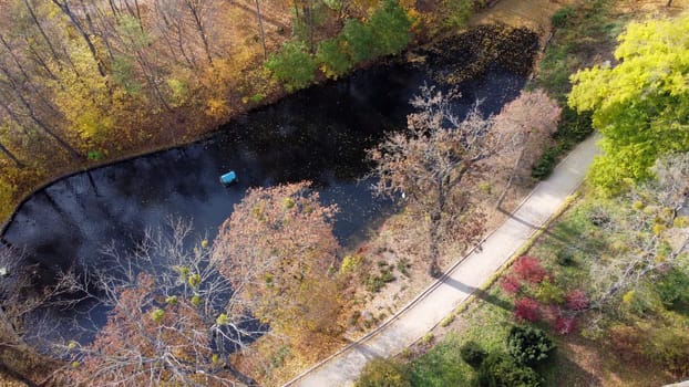 Flying over autumn park. Many trees with yellow green and fallen leaves, lakes in park on sunny autumn day. Top view. Aerial drone view. Beautiful natural background