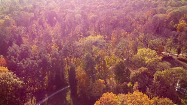 Flying over trees with yellow and green leaves in park with dirt paths on sunny autumn day. Forest wood nature sunlight sunshine. Autumnal background. Aerial drone view. Red sun glare, solar flare