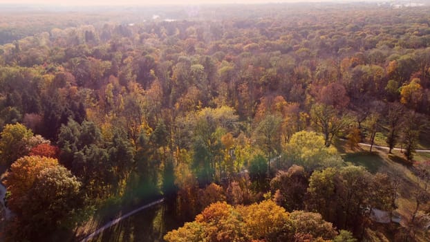 Beautiful panoramic view of many trees with yellow leaves, treetops and paths in park on bright sunny autumn day. Beautiful natural background. Concept autumn nature leaf fall