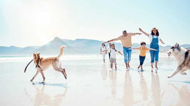 Family, beach and parents with children and dogs for bonding, quality time and adventure together. Travel, pets and happy mom, dad and kids enjoy summer holiday, vacation and relax on weekend by sea.