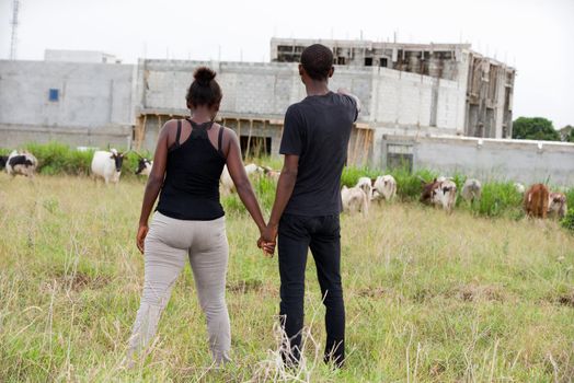 young farmer couple standing back and watching their cattle graze the grass