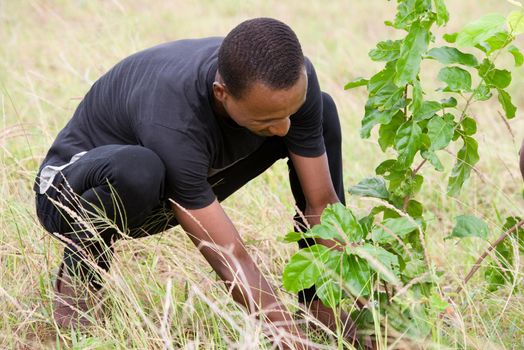 young man squatting while planting flower in soil.