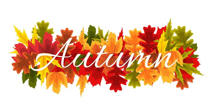 Autumn Natural Leaves Background. Vector Illustration EPS10