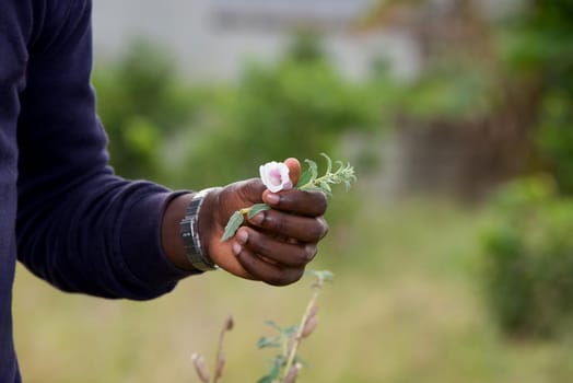 male hand holding greenery flower in background.