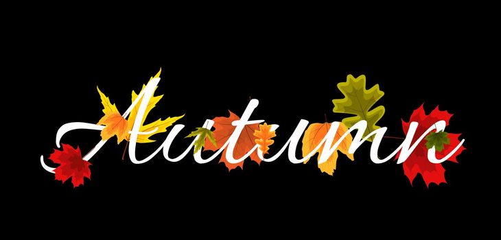 Autumn Natural Leaves Background. Vector Illustration EPS10