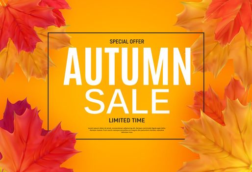 Shiny Autumn Leaves Sale Banner. Business Discount Card. Vector Illustration EPS10