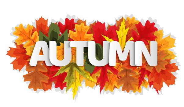 Autumn Natural Leaves Background. Vector Illustration EPS10