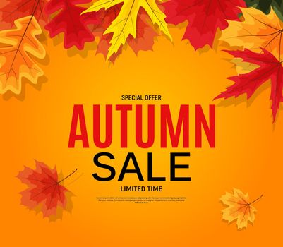 Shiny Autumn Leaves Sale Banner. Business Discount Card. Vector Illustration EPS10