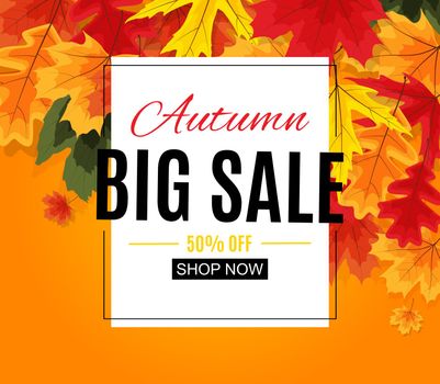 Shiny Autumn Leaves Sale Banner. Business Discount Card. Vector Illustration EPS10