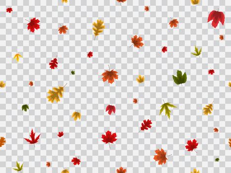 Autumn Leaves Seamless Pattern on Transparent Background Vector Illustration EPS10