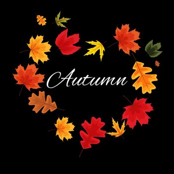 Autumn Natural Leaves Background. Vector Illustration EPS10