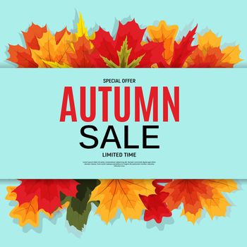 Shiny Autumn Leaves Sale Banner. Business Discount Card. Vector Illustration EPS10