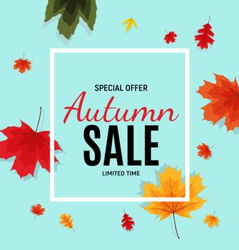 Shiny Autumn Leaves Sale Banner. Business Discount Card. Vector Illustration EPS10