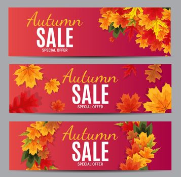 Shiny Autumn Leaves Sale Banner. Business Discount Card Template Collection Set. Vector Illustration EPS10