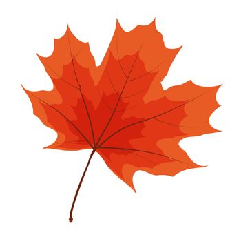 Autumn Natural Leaf Icon Vector Illustration EPS10