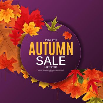 Shiny Autumn Leaves Sale Banner. Business Discount Card. Vector Illustration EPS10