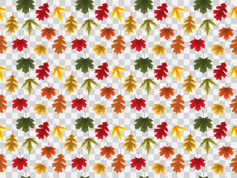 Autumn Leaves Seamless Pattern on Transparent Background Vector Illustration EPS10