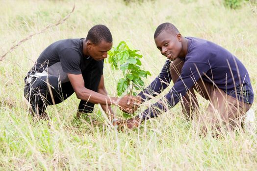 Young people in park going to plant flower in soil.