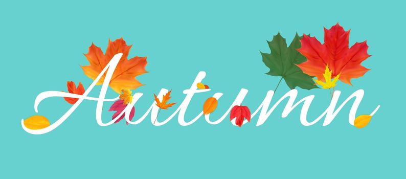 Autumn Natural Leaves Background. Vector Illustration EPS10