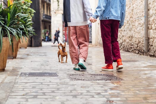 rear view of an unrecognizable gay male couple walking with a little dog along a beautiful street, concept of leisure with pets and love between people of the same sex, copy space for text