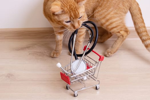 Red kitten playing with stethoscope close up on white background