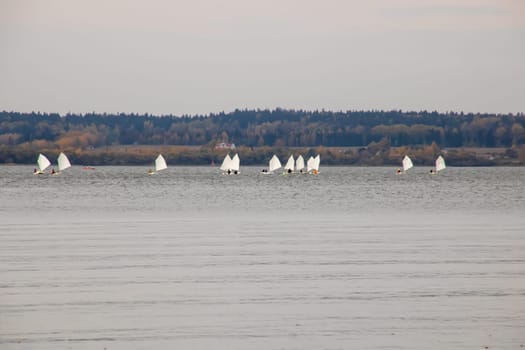 Boats with sails on the surface of the lake