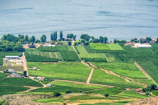 Landscape overview with farmer's land and houses at Okanagan lake on summer day