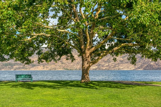 Lonely bench on the shore with lake and mountains overview under the crown of big chestnut tree