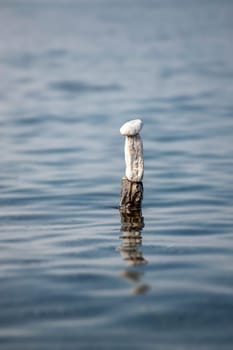 balanced stones on the rocks of the sea