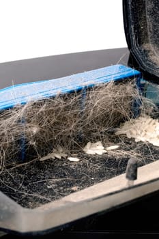 Garbage in a vacuum cleaner container on white background close up