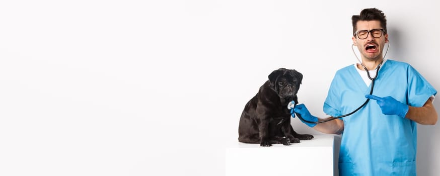 Sad male vet doctor examining cute little dog pug with stethoscope, pointing at pet and crying, standing over white background.