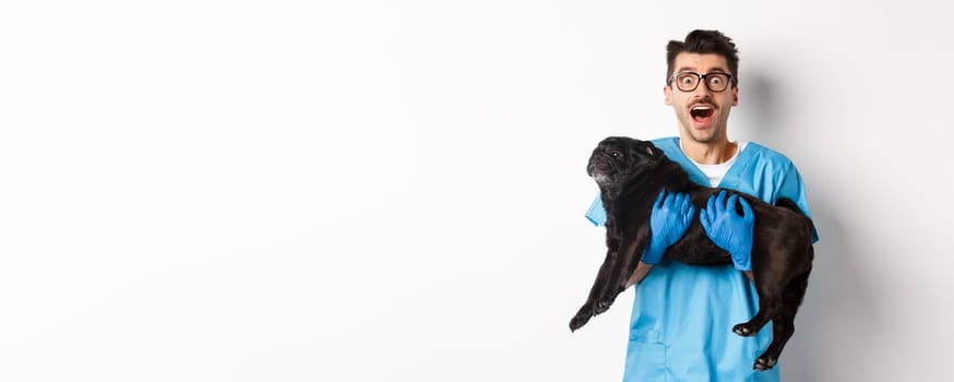 Vet clinic concept. Happy male doctor veterinarian holding cute black pug dog, staring at camera amazed, white background.