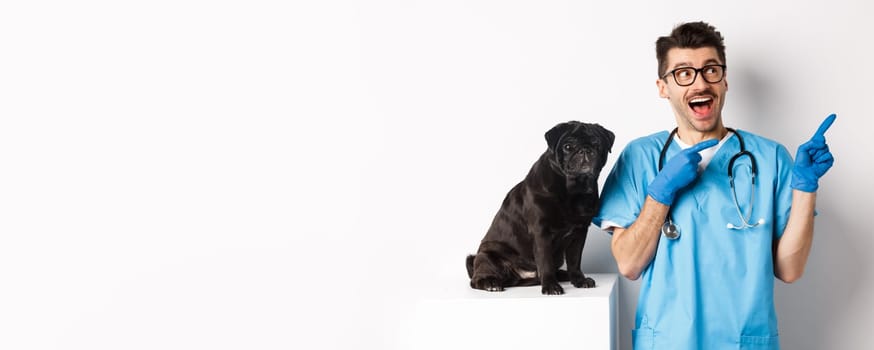 Handsome young doctor at vet clinic pointing fingers upper right corner and looking amazed, standing near cute black pug dog, white background.