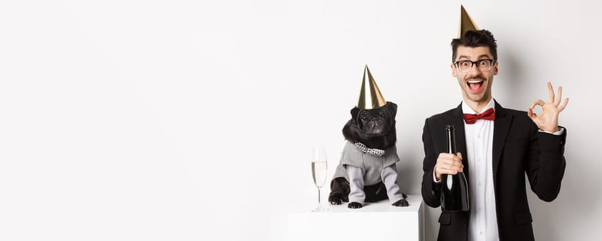 Small black dog wearing party hat and standing near happy man celebrating holiday, owner showing okay sign and holding champagne bottle, white background.