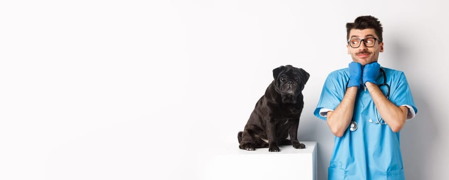 Image of handsome male doctor veterinarian looking at cute black pug dog sitting on table, admiring puppy cuteness, standing over white background.