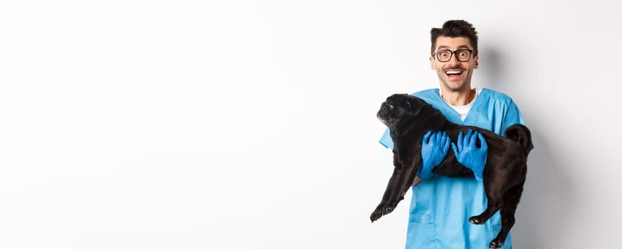 Vet clinic concept. Happy male doctor veterinarian holding cute black pug dog, smiling at camera, white background.
