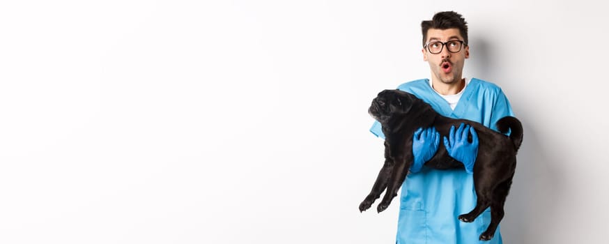 Vet clinic concept. Amazed male doctor veterinarian holding cute black pug dog, smiling and staring up impressed, standing over white background.