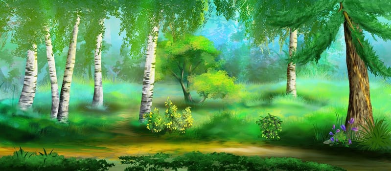 Birches in the forest on a sunny summer day. Digital Painting Background, Illustration.