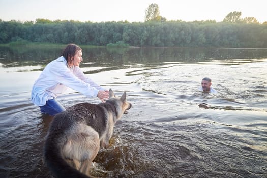 Beautiful adult couple has fun with bug dog shephers on nature in water of river or lake in summer evening at sunset. Guy and girl swim and relax with pet outdoors in clothes in white shirts and jeans