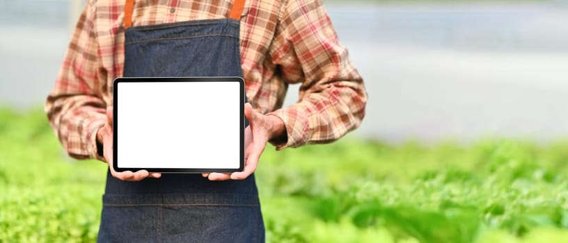 Cropped shot of male farmer in apron holding digital tablet with empty screen standing in hydroponic greenhouse.