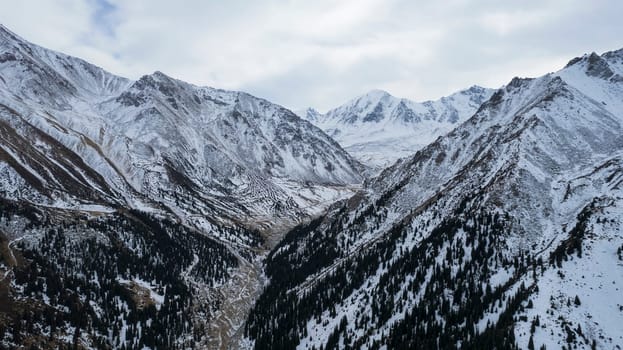 High snowy mountains with forest in the gorge. Dark sky with clouds, gloomy atmosphere. The white slopes are covered with snow, high-altitude spruce trees grow. Trails are visible. Big Almaty Lake