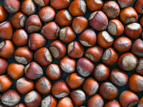 Hazelnuts textured background, top view, close up