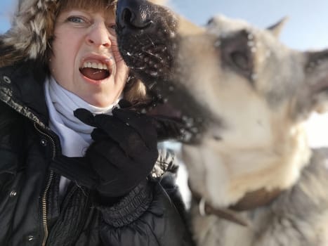 Adult girl or middle aged woman in a jacket with fluffy fur hood with shepherd dog in nature in winter on cold sunny day